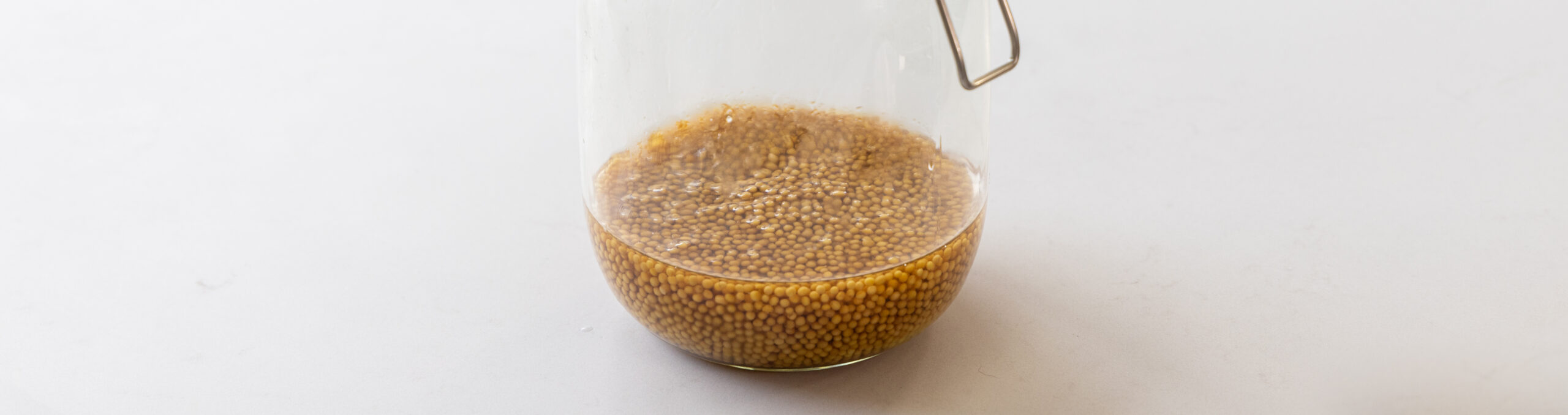 Sweet & sour mustard seeds