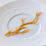 Savory beurre noisette tuille 1 Savory beurre noisette tuille