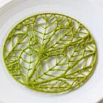 Fig leaf tuille 1 Fig leaf tuille