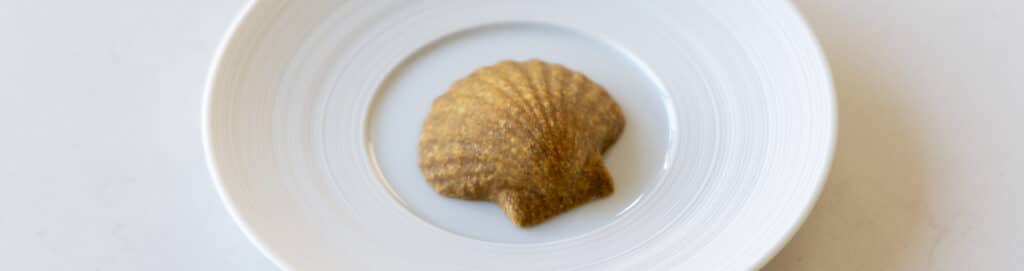 Coquille