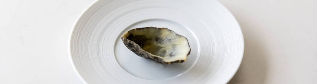 oester schelp
