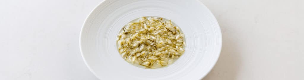 pickled wild garlic flowers