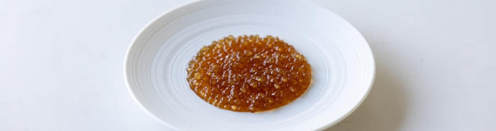 tapioca