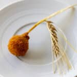 Pigeon & Buckwheat dish 2 Pigeon & Buckwheat dish