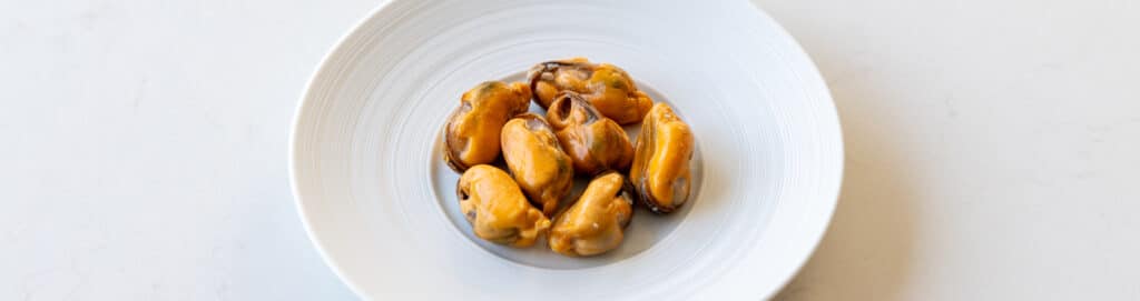 mussel