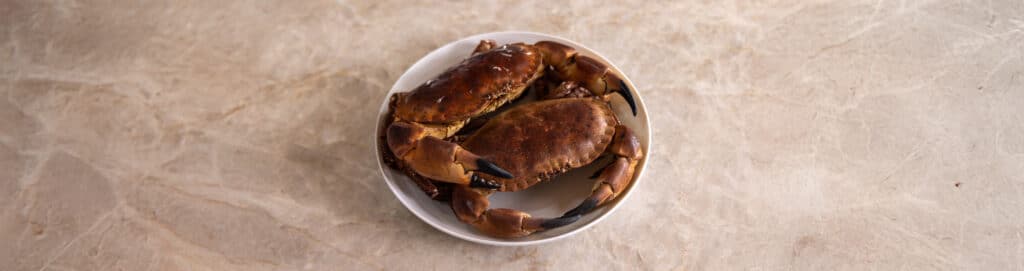 crab