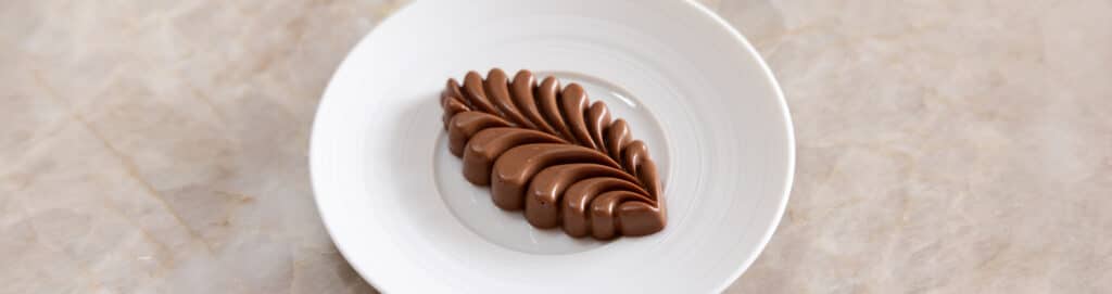 Chocolate and fig leave mousse