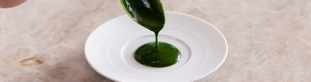 Watercress coulis