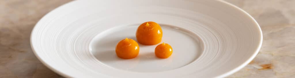 Apricot tandoori gel