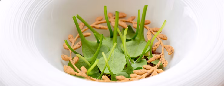 Dutch shrimp amuse