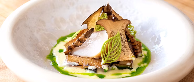 Scallops with Jerusalem artichoke and lovage