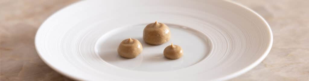 Shiitake cream