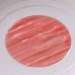 Sous-vide rhubarb disc 1 Sous-vide rhubarb disc