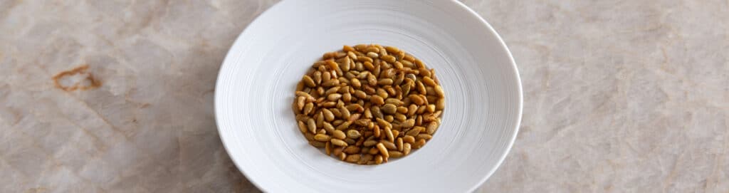 Tandoori sunflower seeds