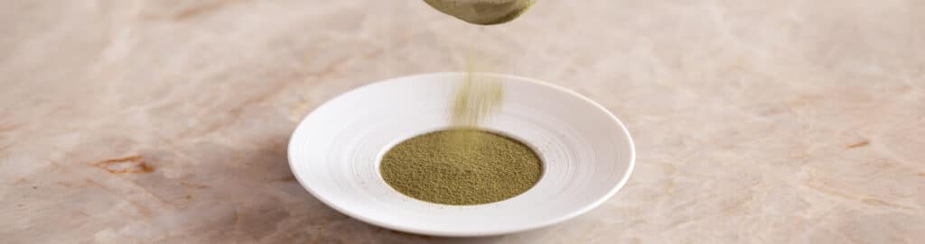 Toasted leek powder