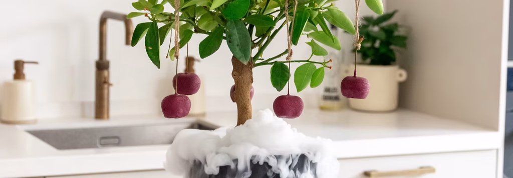 Cherry dessert amuse