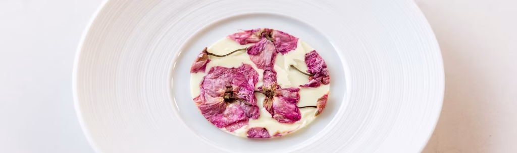 Cooking with blossom flowers 7 recipes techniques