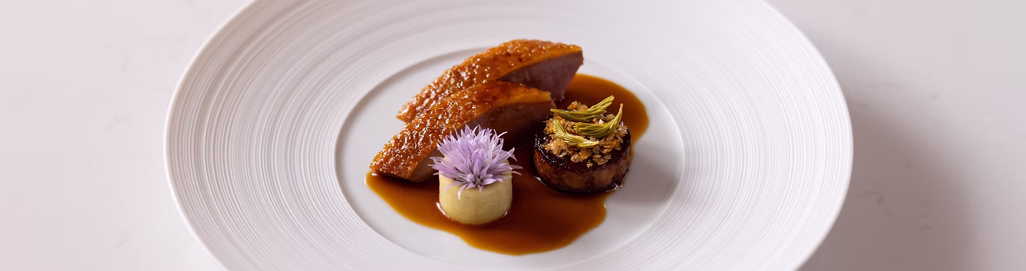 Dry aged duck & Spruce tip dish