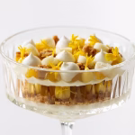 Pornstar Martini dessert 7 Pornstar Martini dessert