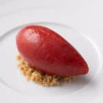 Raspberry & basil sorbet