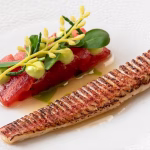 Red mullet ceviche dish 1 Red mullet ceviche dish