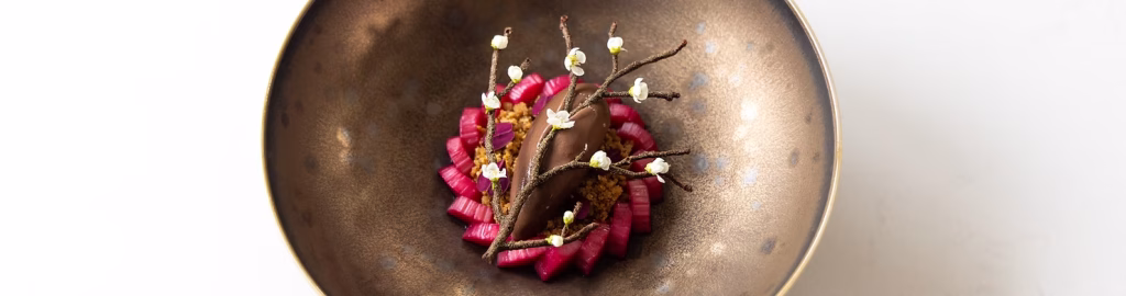 Rhubarb chocolate dessert