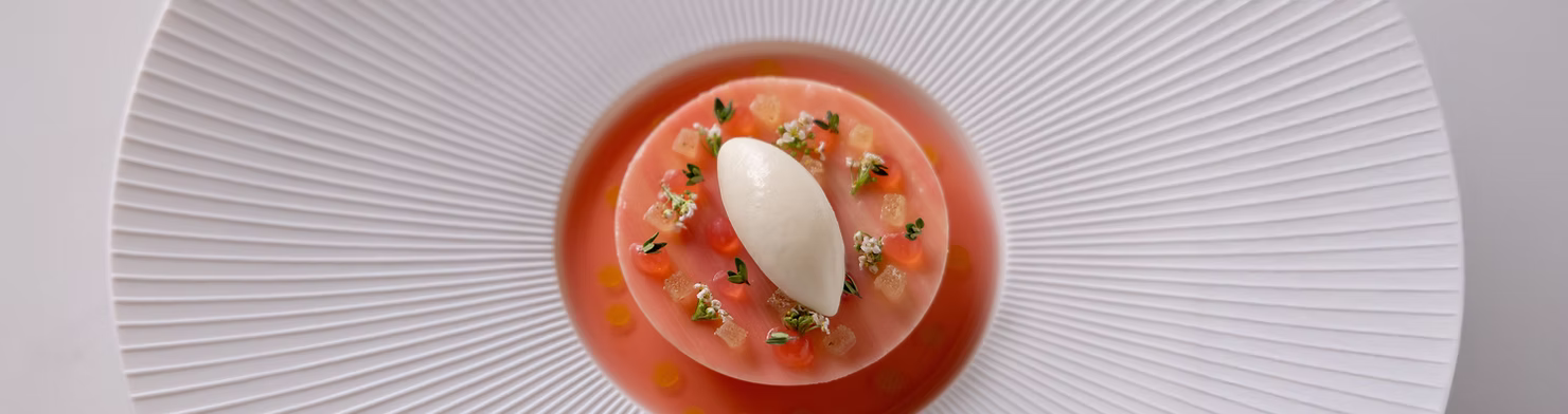 Rhubarb & white chocolate dessert