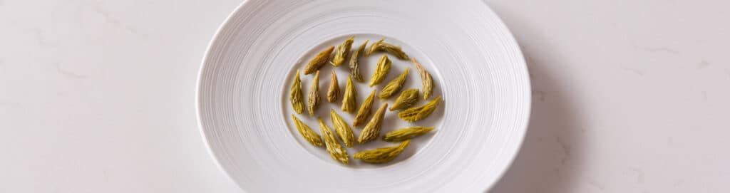 Sweet and sour spruce tips