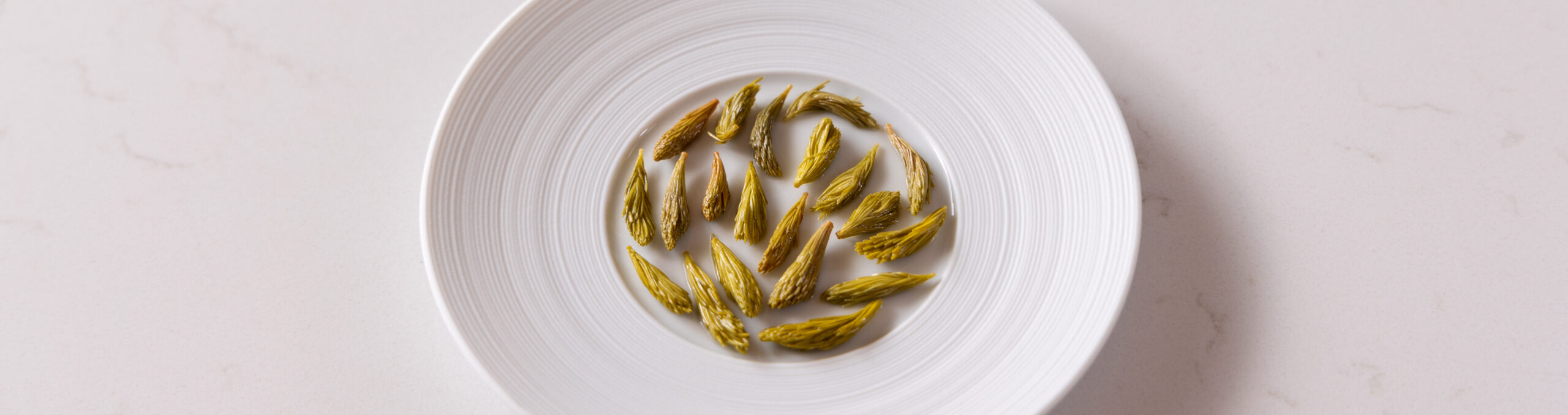 Sweet and sour spruce tips
