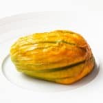 Lobster mousse / farce