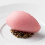 Poppy flower sorbet 1 Poppy flower sorbet