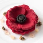Poppy flower & seed dessert 1 Poppy flower & seed dessert