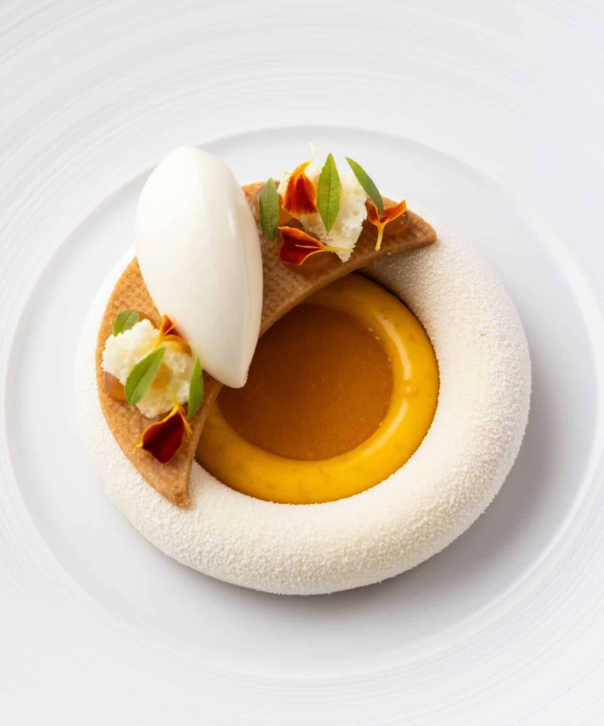 Apricot dessert 14 Apricot dessert