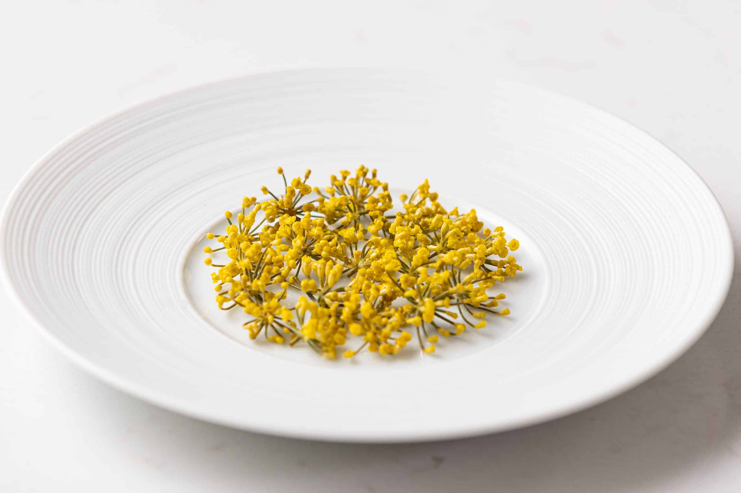 Pickled fennel flowers