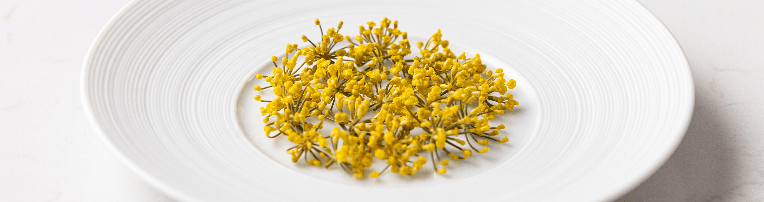 sweet & sour fennel flowers