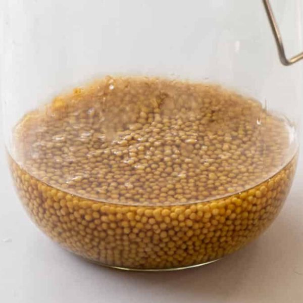 Sweet & sour mustard seeds