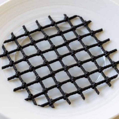 Black sardine tuille