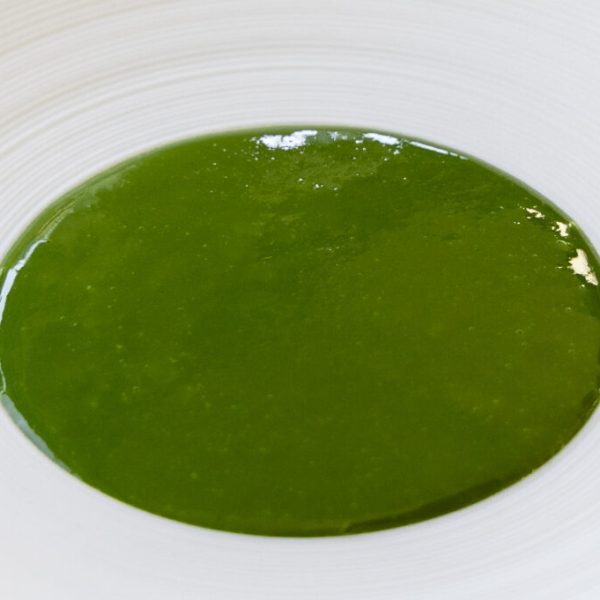 Green herb puree or coulis