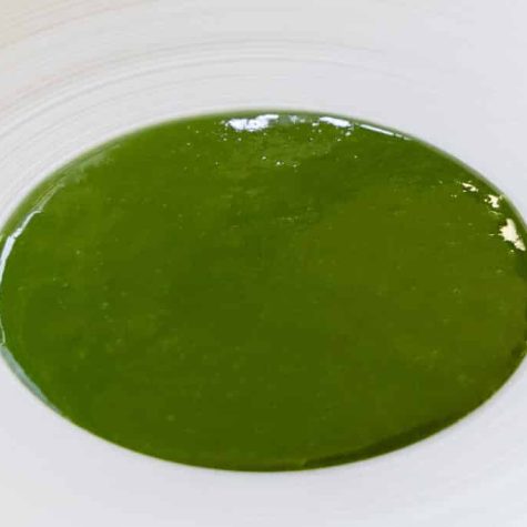 Green herb puree or coulis