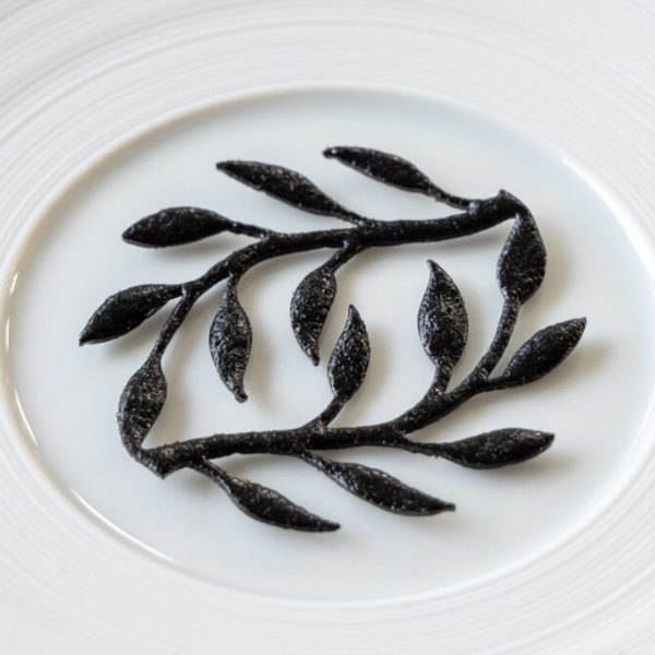 Pine tree tuille
