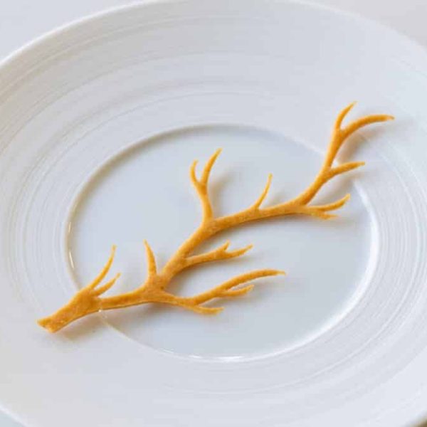Savory beurre noisette tuille