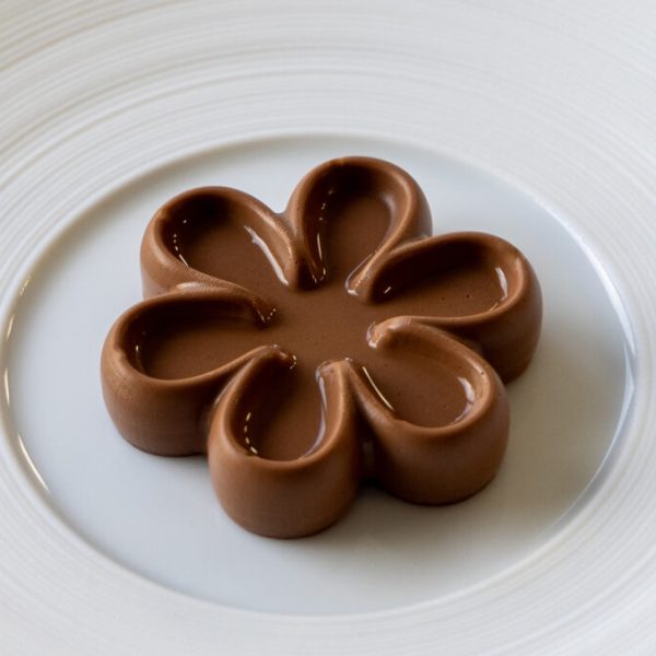Chocolate panna cotta