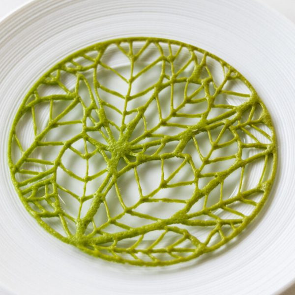 Fig leaf tuille
