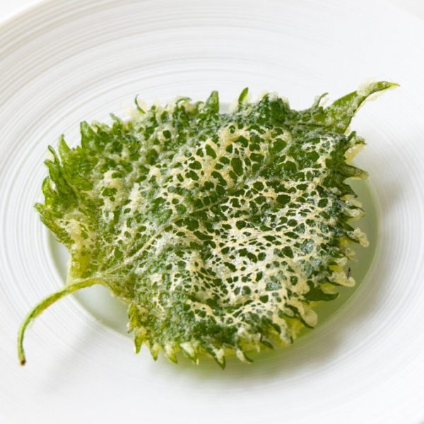 Tempura Shiso leaves