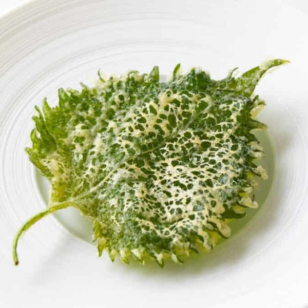 Tempura Shiso leaves