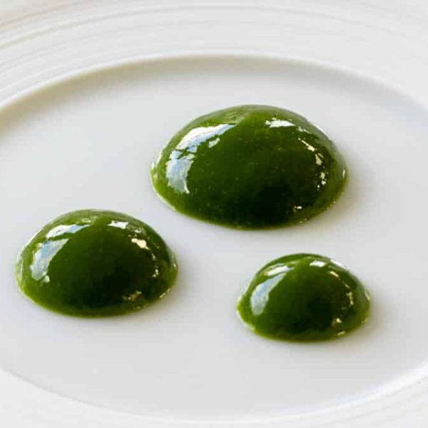 Green leek and dill coulis
