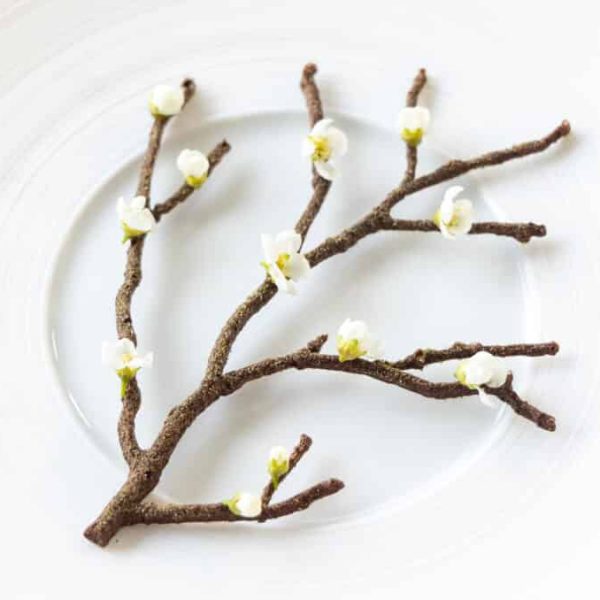 Chocolate tuille
