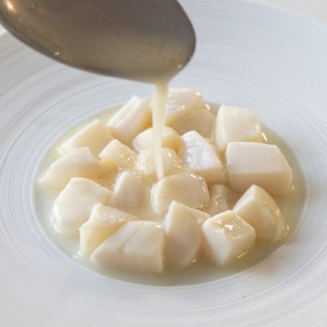 Tiger milk ceviche