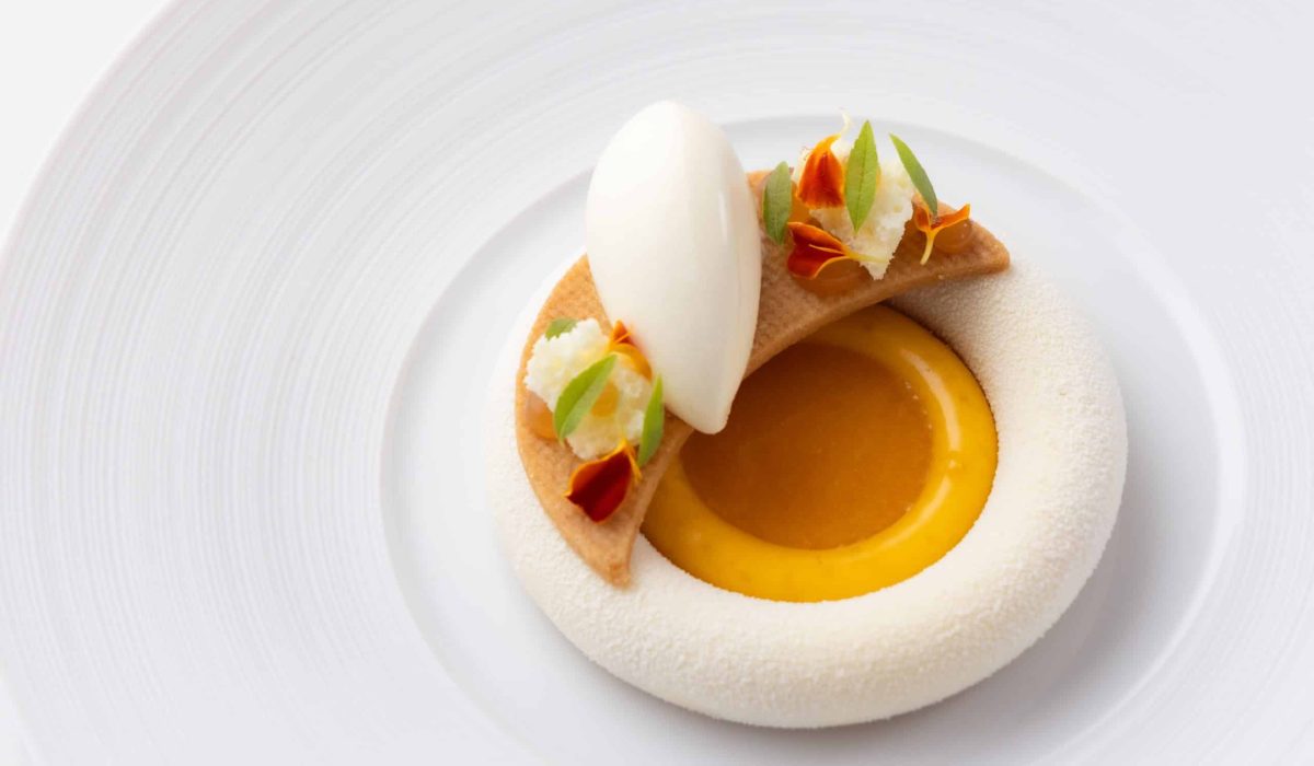Apricot dish-07