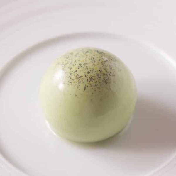 Basil panna cotta